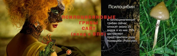 шишки Магадан