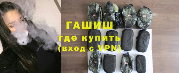 стаф Ельня