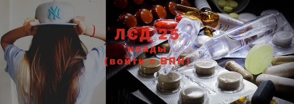 шишки Магадан