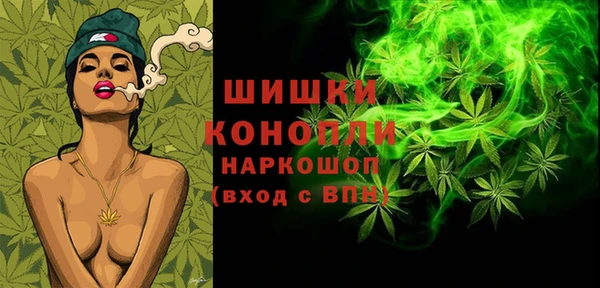 стаф Магас
