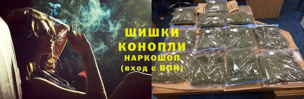 ГАЛЛЮЦИНОГЕННЫЕ ГРИБЫ Новокубанск
