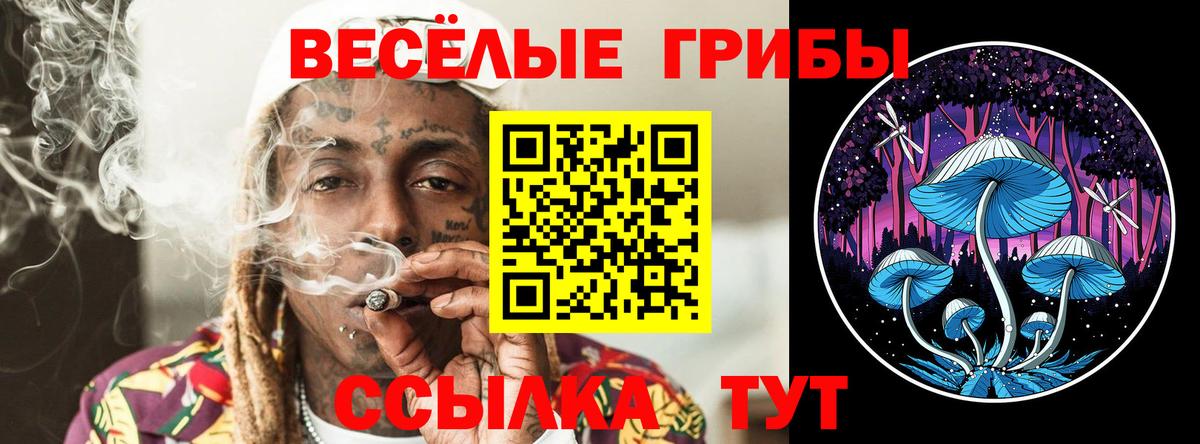 Галлюциногенные грибы MAGIC MUSHROOMS Якутск